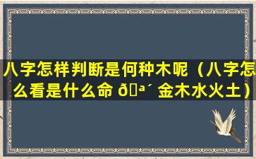 八字怎样判断是何种木呢（八字怎么看是什么命 🪴 金木水火土）